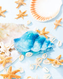 Paparazzi "Smooth Seashell" Blue Hair Clip Paparazzi Jewelry