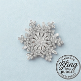 "Blizzard Beacon" White Brooch Pin Paparazzi Jewelry