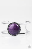 Paparazzi "New Horizons" Purple Bracelet Paparazzi Jewelry