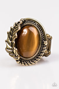 Paparazzi "Seasonal Shimmer" Brass Frame Brown Moonstone Ring Paparazzi Jewelry