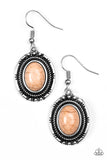 Paparazzi "Shifting Sands" Brown Oval Stone Silver Earrings Paparazzi Jewelry
