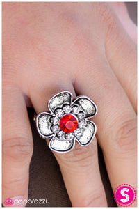 Paparazzi "At the Risk of Looking Fabulous" Red Ring Paparazzi Jewelry