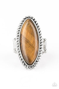 Paparazzi "Eco Ego" Brown Ring Paparazzi Jewelry