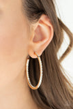 Paparazzi "Comin' Into Money!" Gold Earrings Paparazzi Jewelry
