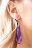 Paparazzi "Right As RAINFOREST" Purple Necklace & Earring Set Paparazzi Jewelry