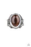 Paparazzi "Deep Freeze" Brown Ring Paparazzi Jewelry