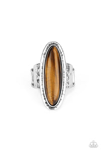 Paparazzi "Stone Mystic" Brown 2020 CONVENTION EXCLUSIVE Tiger Eye Silver Ring Paparazzi Jewelry