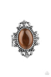 Paparazzi "Can You SEER What I SEER" Brown Ring Paparazzi Jewelry