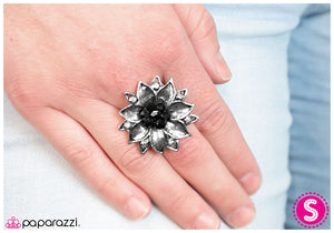 Paparazzi "Bewitched" Black Ring Paparazzi Jewelry