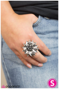 Paparazzi "Bewitched" Silver Ring Paparazzi Jewelry