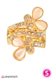 Paparazzi "Born To Fly" ring Paparazzi Jewelry