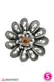 Paparazzi "Grown So Fond Of You - Brown" ring Paparazzi Jewelry