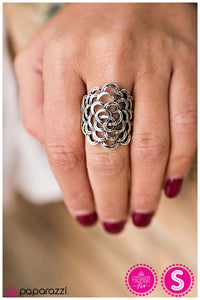 Paparazzi "In Harmony" ring Paparazzi Jewelry