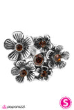 Paparazzi "Jane Eyre" ring Paparazzi Jewelry