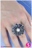 Paparazzi "Keepin It Classy" Silver Ring Paparazzi Jewelry