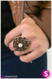 Paparazzi "Keepin It Classy" Brown Ring Paparazzi Jewelry