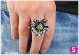 Paparazzi "Little Havana" ring Paparazzi Jewelry