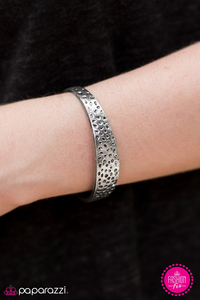 Paparazzi "All Shine To Give" Fashion Fix Silver Bracelet Paparazzi Jewelry