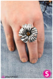 Paparazzi "Take Your Pick - Brown" ring Paparazzi Jewelry